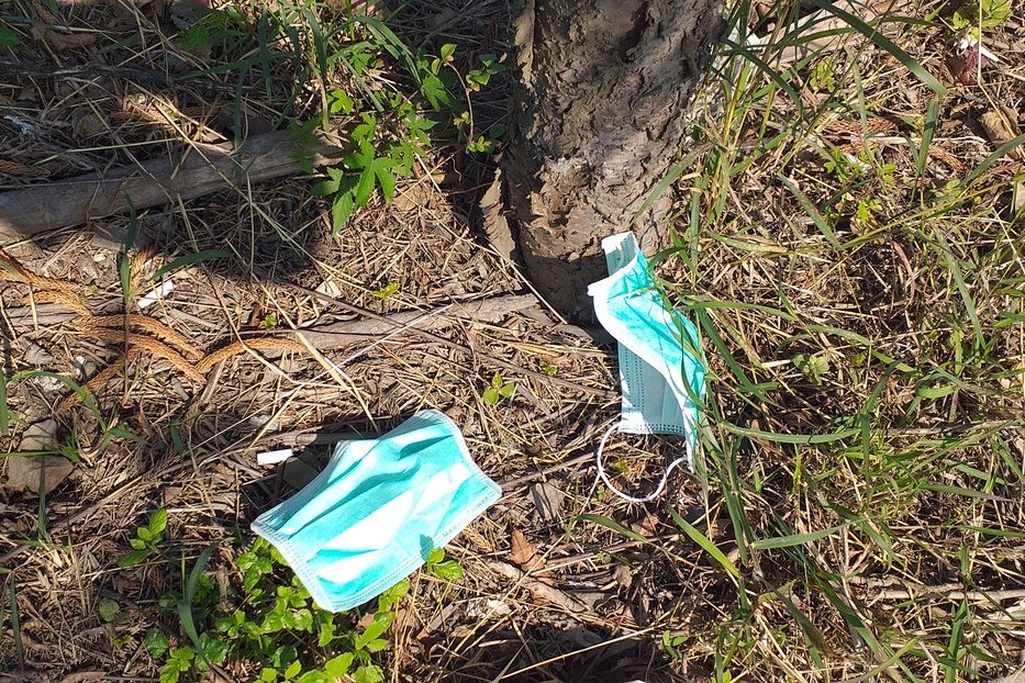 戴完隨便丟！海上漂浮「大量用過口罩」垃圾量暴增　生態浩劫「恐造成衛生問題」學者憂：後果難以預料