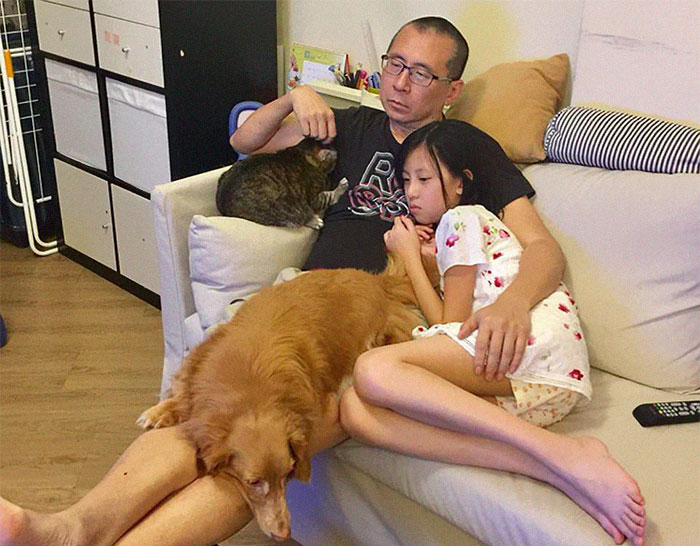 10年前與10年後！媽媽拍下「女兒+2隻萌毛孩」窩爸爸懷中　「一系列溫馨合照」暗藏催淚細節：最好的典範