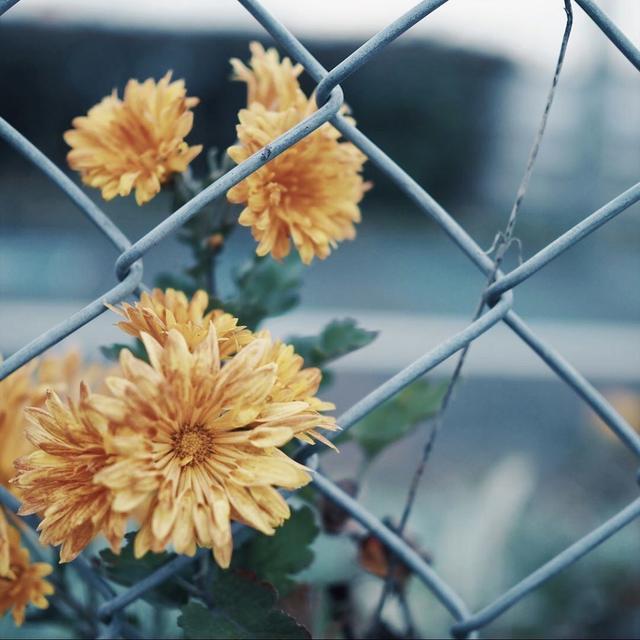 35歲年輕如20歲!家庭主婦從「不愛整理到收納上癮」 下定決心「10年斷捨離」:捨不得越多,失去越多