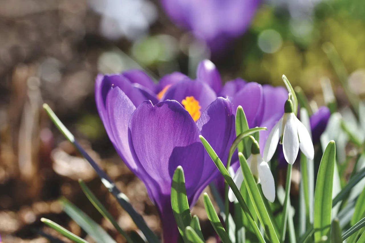 看清周遭！珍惜你的人別忘記，冷落你的人別珍惜
