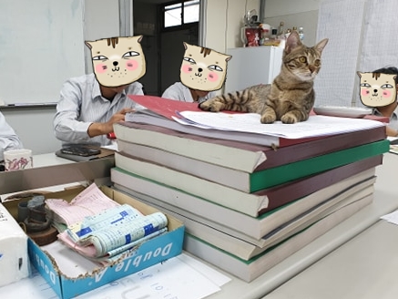 影印中「被牠卡位霸佔」...下秒輸出「高清激萌肉球」全網暴動：想收起來裱框！