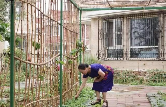 14位老人「合租別墅揪團養老」盼搭夥過日子　互相有照應「天天吃飯打牌唱歌」不再孤獨生活