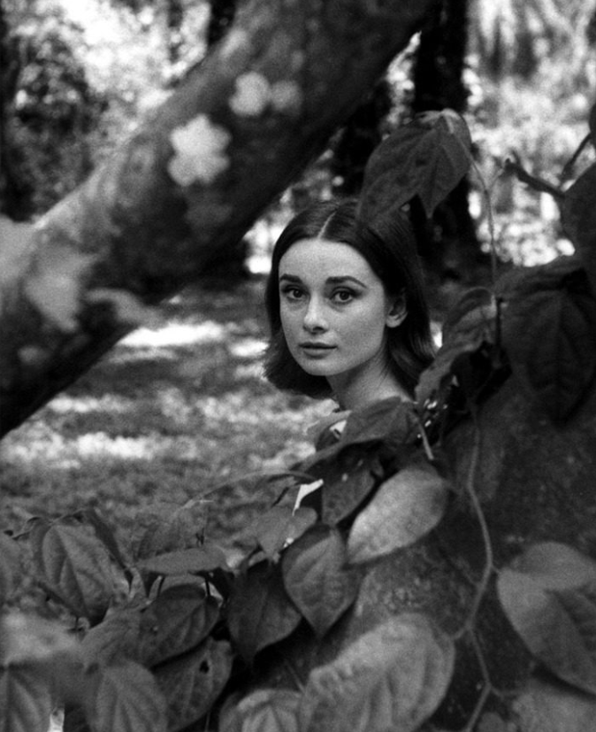 回到輝煌年代！藝術家把「好萊塢黃金年代明星」黑白照變彩色　奧黛麗赫本「對鏡頭露最迷人笑容」美翻