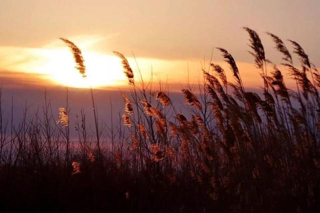 幸福的人懂得放下，智慧的人懂得「算了」