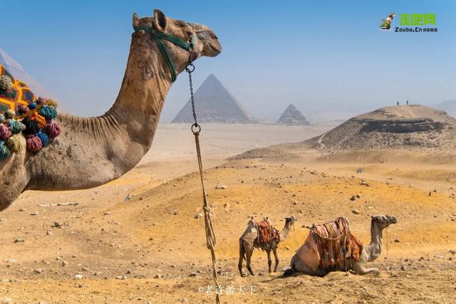 「寧願死在路上，也不想死在病床上！」走遍世界，他們夫婦做到了