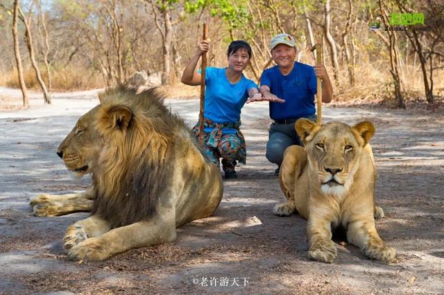 「寧願死在路上，也不想死在病床上！」走遍世界，他們夫婦做到了