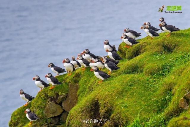 「寧願死在路上，也不想死在病床上！」走遍世界，他們夫婦做到了