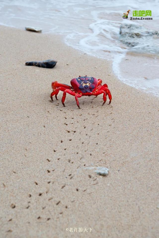 「寧願死在路上，也不想死在病床上！」走遍世界，他們夫婦做到了