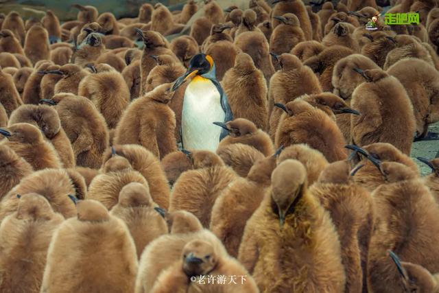 「寧願死在路上，也不想死在病床上！」走遍世界，他們夫婦做到了