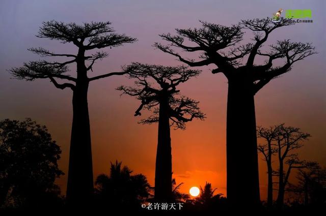 「寧願死在路上，也不想死在病床上！」走遍世界，他們夫婦做到了