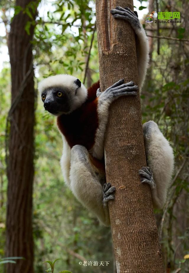 「寧願死在路上，也不想死在病床上！」走遍世界，他們夫婦做到了