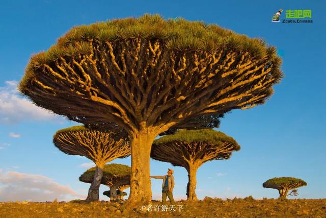 「寧願死在路上，也不想死在病床上！」走遍世界，他們夫婦做到了