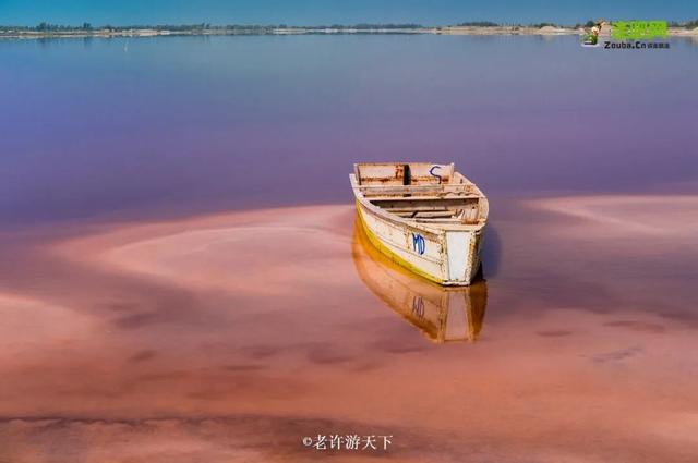 「寧願死在路上，也不想死在病床上！」走遍世界，他們夫婦做到了