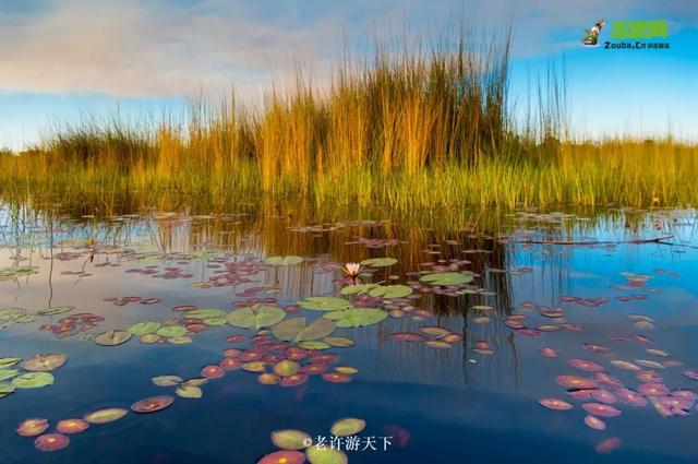 「寧願死在路上，也不想死在病床上！」走遍世界，他們夫婦做到了
