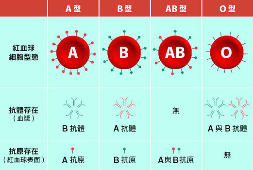 O型染疫風險較低！統計發現「血型影響染上新冠機率」　冠軍血型「中標機率高達37％」：真的要注意