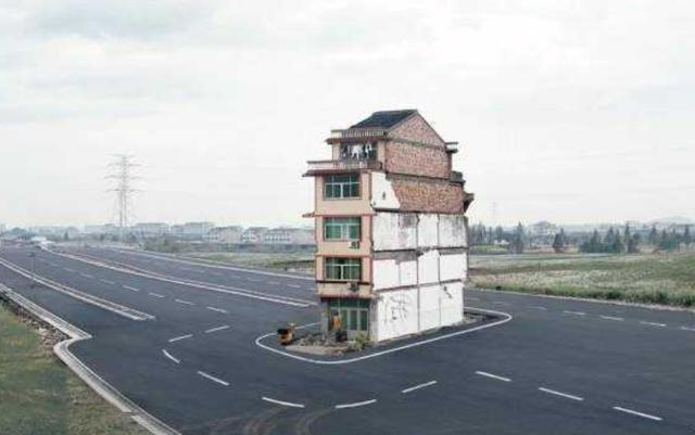生命力頑強？千年古樹「變身釘子戶」被掏空建公路　枝繁葉茂成網紅景點「130年後大家悔不當初」   