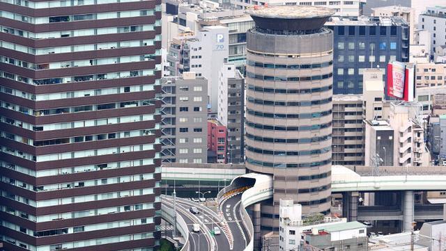 生命力頑強？千年古樹「變身釘子戶」被掏空建公路　枝繁葉茂成網紅景點「130年後大家悔不當初」   