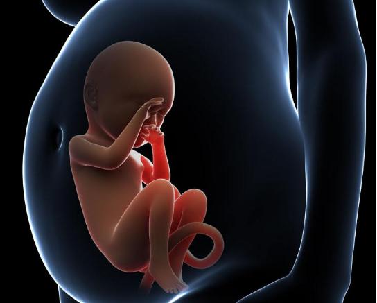 胎兒界的「數學天才」！孕婦照超音波發現胎兒在子宮裡「數數」超可愛     醫生：娘胎裡的學霸