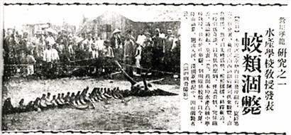 龍真實存在嗎？老人稱9歲時親眼見過「真龍」並主動上交5塊龍骨，專家鑒定後卻束手無策