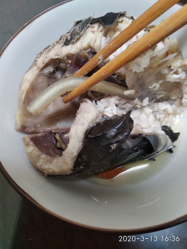 在家煮鱘龍魚！網友見魚肚「出現半透明水管」秒吐出來　老饕笑喊「太不識貨」：皇帝用來補身的