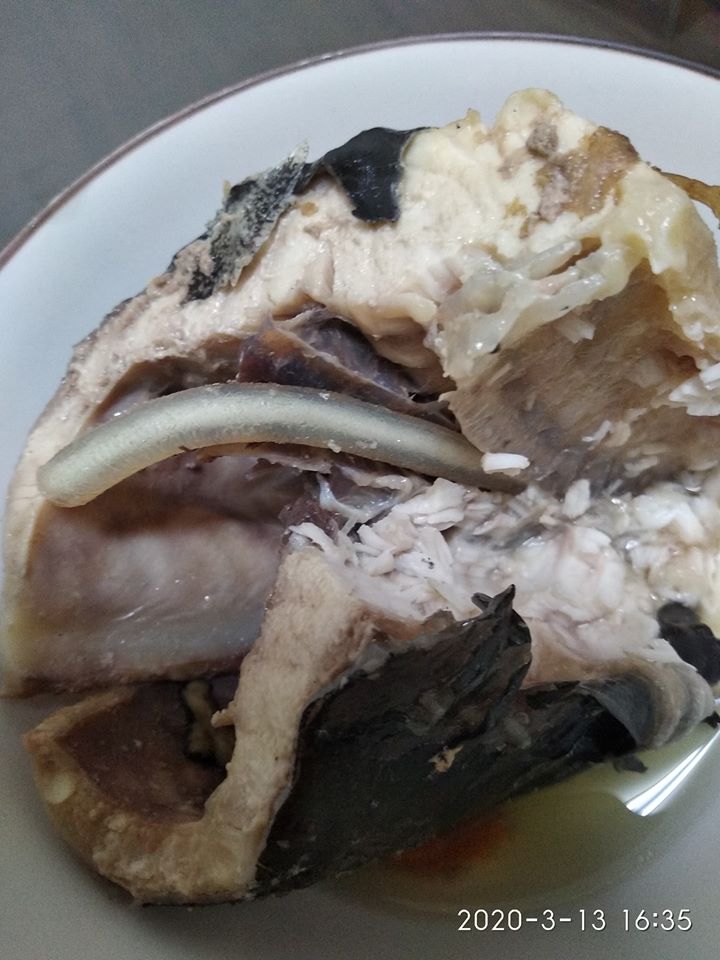 在家煮鱘龍魚！網友見魚肚「出現半透明水管」秒吐出來　老饕笑喊「太不識貨」：皇帝用來補身的