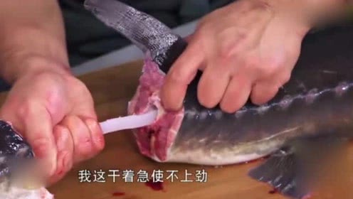 在家煮鱘龍魚！網友見魚肚「出現半透明水管」秒吐出來　老饕笑喊「太不識貨」：皇帝用來補身的