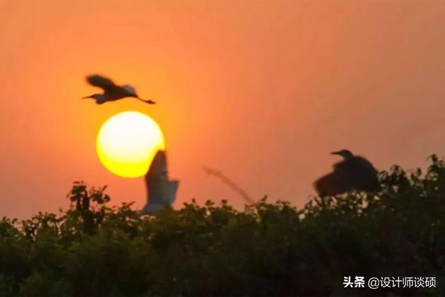 擁30畝森林！一家三口「住400㎡中式宅院」卻穿20元布衣　鷺鳥相伴「滿身泥種樹」女兒搬來：爸爸真的很傻