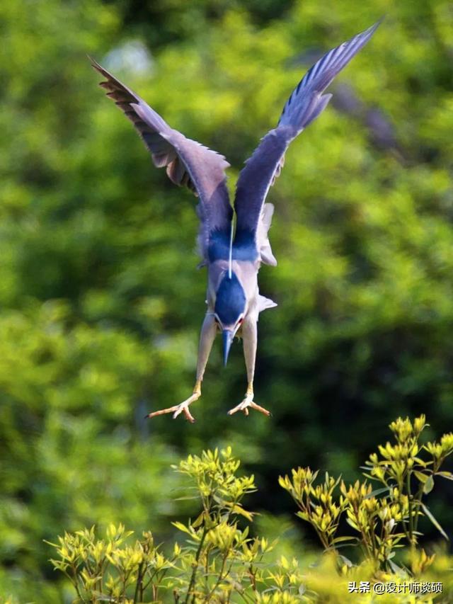 擁30畝森林！一家三口「住400㎡中式宅院」卻穿20元布衣　鷺鳥相伴「滿身泥種樹」女兒搬來：爸爸真的很傻