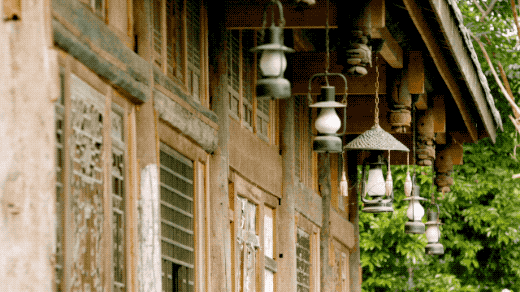 擁30畝森林！一家三口「住400㎡中式宅院」卻穿20元布衣　鷺鳥相伴「滿身泥種樹」女兒搬來：爸爸真的很傻