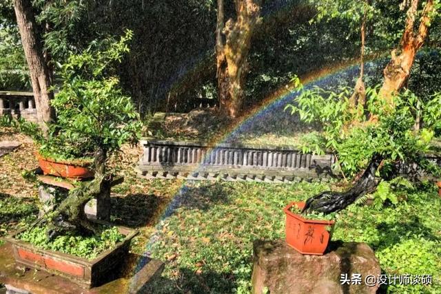 擁30畝森林！一家三口「住400㎡中式宅院」卻穿20元布衣　鷺鳥相伴「滿身泥種樹」女兒搬來：爸爸真的很傻