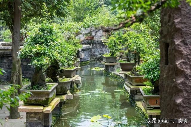 擁30畝森林！一家三口「住400㎡中式宅院」卻穿20元布衣　鷺鳥相伴「滿身泥種樹」女兒搬來：爸爸真的很傻