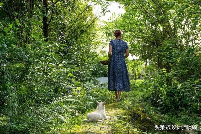 擁30畝森林！一家三口「住400㎡中式宅院」卻穿20元布衣　鷺鳥相伴「滿身泥種樹」女兒搬來：爸爸真的很傻