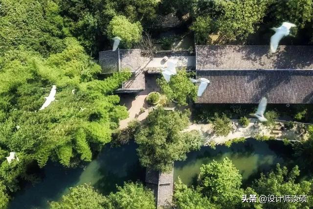 擁30畝森林！一家三口「住400㎡中式宅院」卻穿20元布衣　鷺鳥相伴「滿身泥種樹」女兒搬來：爸爸真的很傻