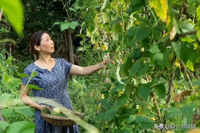 擁30畝森林！一家三口「住400㎡中式宅院」卻穿20元布衣　鷺鳥相伴「滿身泥種樹」女兒搬來：爸爸真的很傻