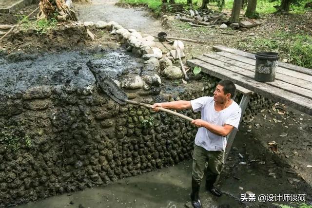 擁30畝森林！一家三口「住400㎡中式宅院」卻穿20元布衣　鷺鳥相伴「滿身泥種樹」女兒搬來：爸爸真的很傻