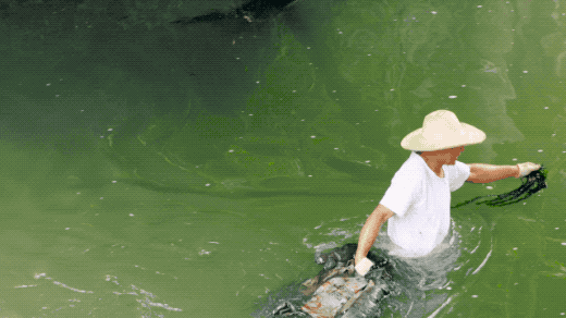 擁30畝森林！一家三口「住400㎡中式宅院」卻穿20元布衣　鷺鳥相伴「滿身泥種樹」女兒搬來：爸爸真的很傻