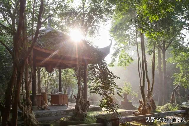 擁30畝森林！一家三口「住400㎡中式宅院」卻穿20元布衣　鷺鳥相伴「滿身泥種樹」女兒搬來：爸爸真的很傻