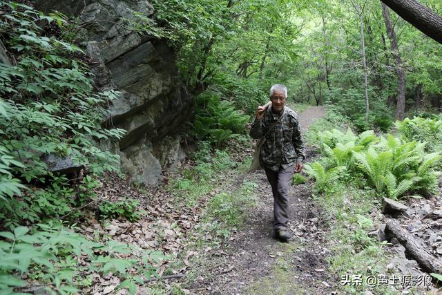 城市太複雜！六旬老夫妻「隱居深山60年」如世外桃源　每日巡山「身體無病痛」養雞種菜生活愜意