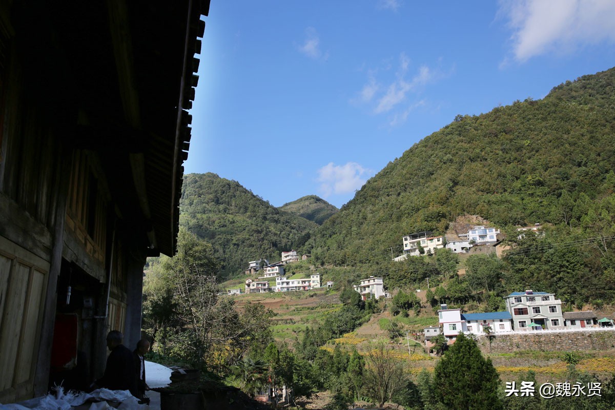 63歲孝兒退休後返鄉隱居「住200年老房」過山中生活　種田養豬「陪伴92歲老父」天天散步談心