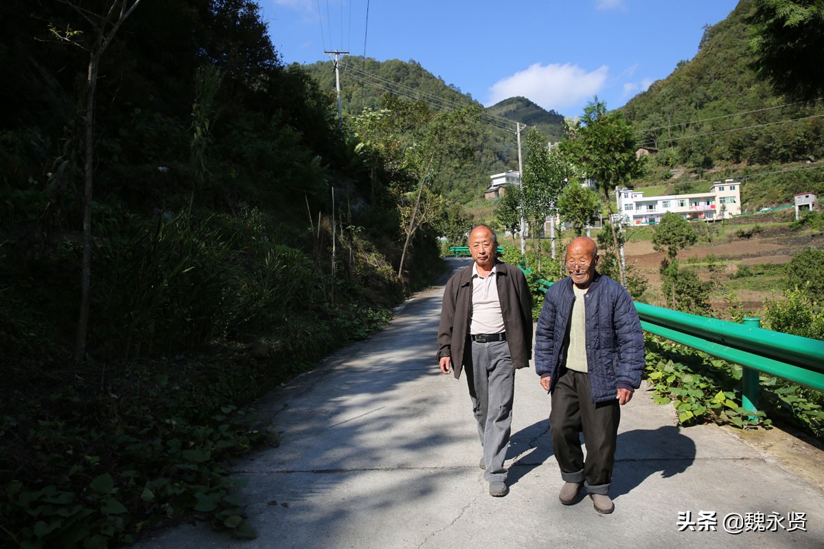 63歲孝兒退休後返鄉隱居「住200年老房」過山中生活　種田養豬「陪伴92歲老父」天天散步談心