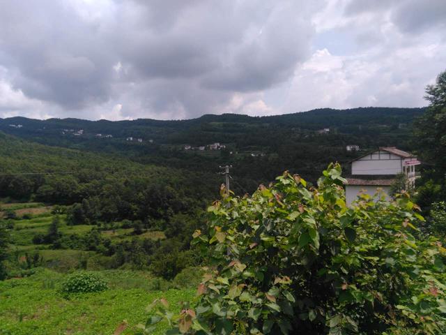 退休了，與其天天窩在家搓麻將，不如「回歸田園小院」隱退江湖