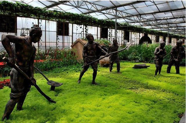 退休了，與其天天窩在家搓麻將，不如「回歸田園小院」隱退江湖