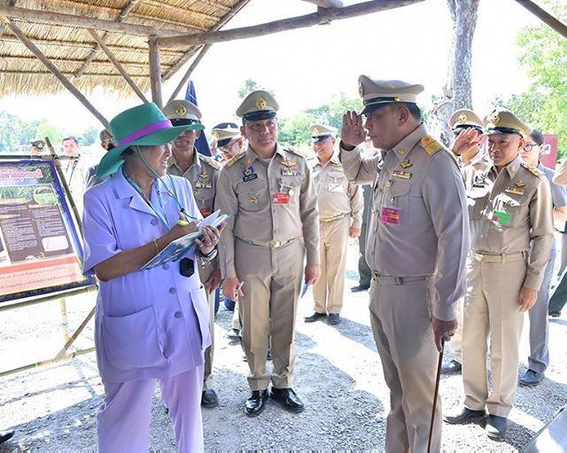 一改大媽形象！泰國詩琳通公主不再「邋遢」   一襲藍裙優雅又高貴，淡妝出鏡成王室最美