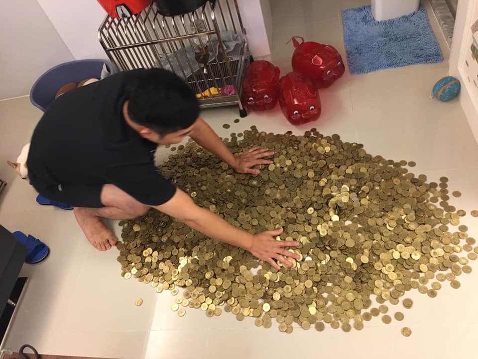 宰豬公救經濟！存4年硬幣「灑出來變黃金地毯」　結算「50公斤私房錢」網嗨：可以付頭期款