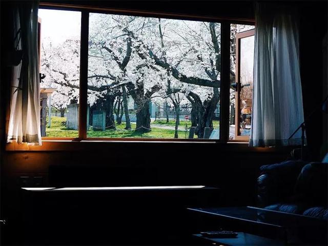 一家四口隱居山中小屋「後院種滿果菜」三餐自給自足　兒女從小親近自然「坐看四季美景」把日子過成詩