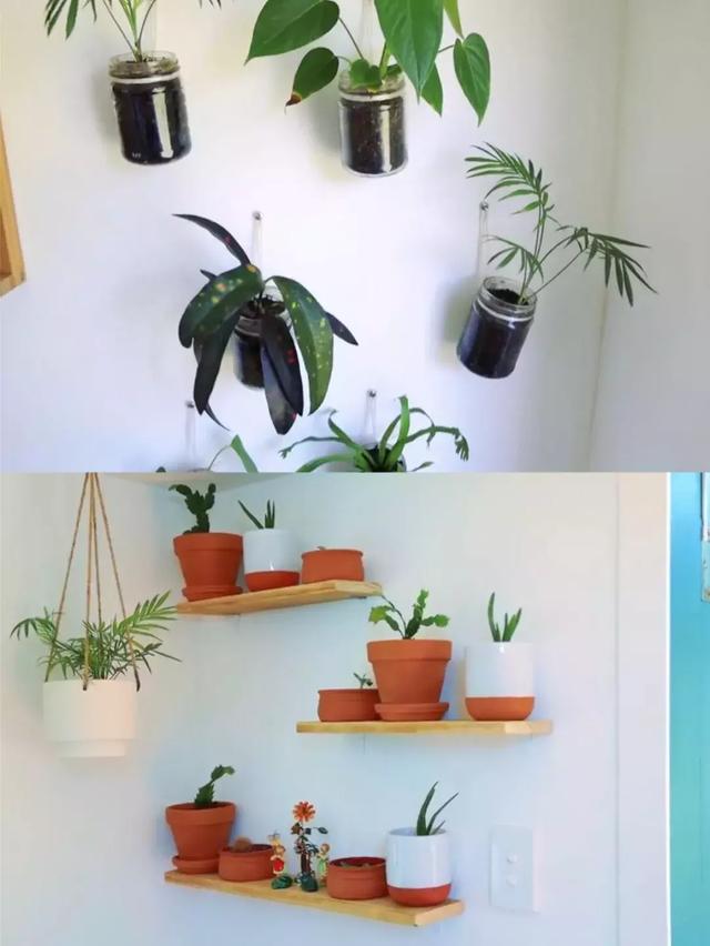 最完美的家！夫妻「蓋房裝輪子」夢幻住宅隨遇而安　友善環境零污染「享受極簡生活」盡情徜徉大自然