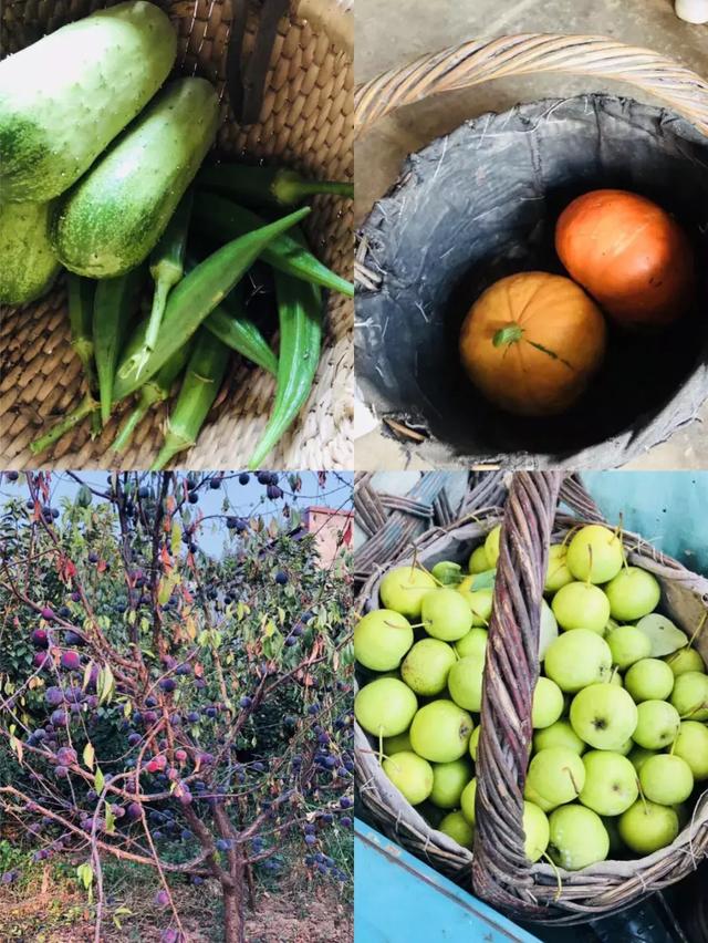 最完美的家！夫妻「蓋房裝輪子」夢幻住宅隨遇而安　友善環境零污染「享受極簡生活」盡情徜徉大自然