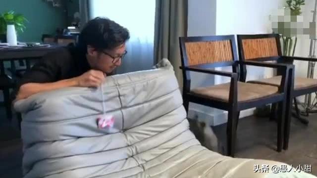 王菲砸千萬築愛巢！花心思裝潢「處處為謝霆鋒著想」❤　特地打造密室推開門「滿地名貴吉他」