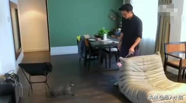 王菲砸千萬築愛巢！花心思裝潢「處處為謝霆鋒著想」❤　特地打造密室推開門「滿地名貴吉他」