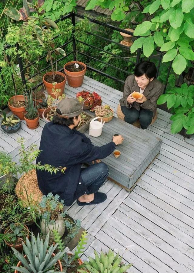 耗費2年！零經驗夫妻檔「改造60坪百年四合院」　打造秘密花園「把四季美景收入屋內」成果美翻天